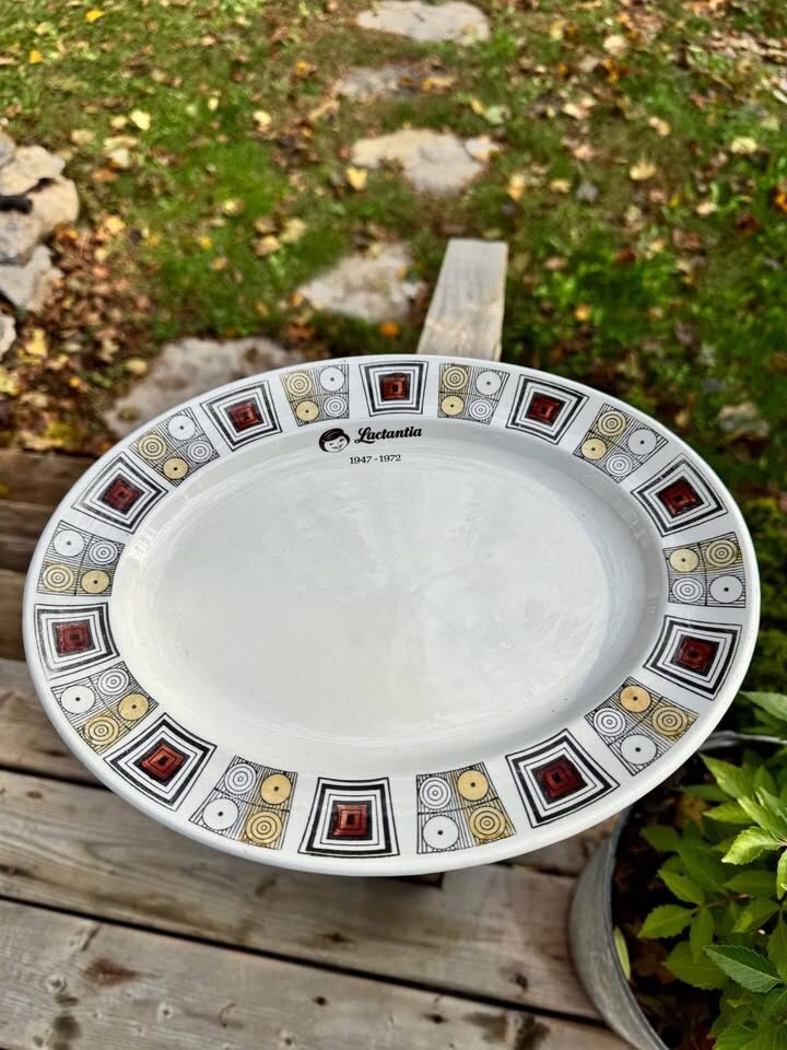 Dairy Memorabilia Lactantia Kathie Winkle Ironstone Platters - photo 5