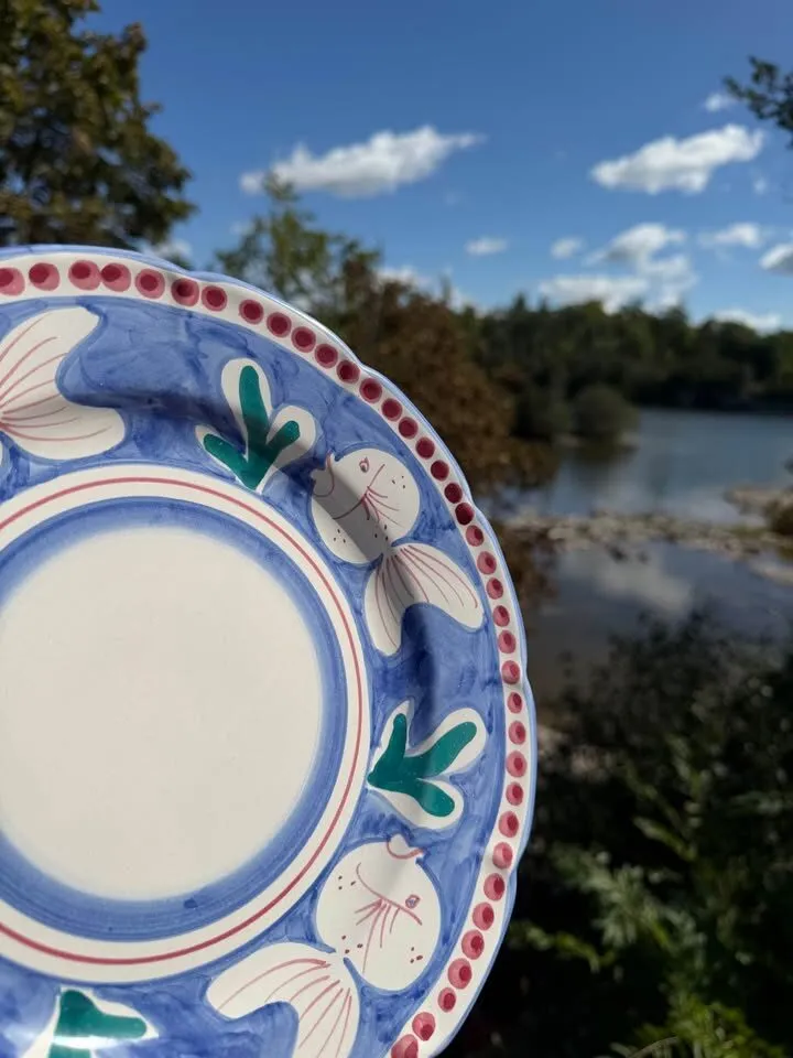 Vintage Nuova Vietri Italy Hand Painted Campagna Plates Whimsical Animals & Fish - photo 9