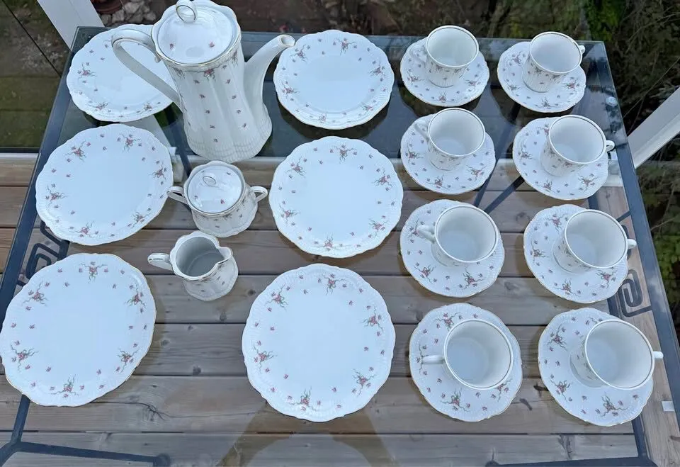 Vintage Schwarzenhammer Bavaria German Porcelain Coffee & Tea Service – 25 Pc - photo 2