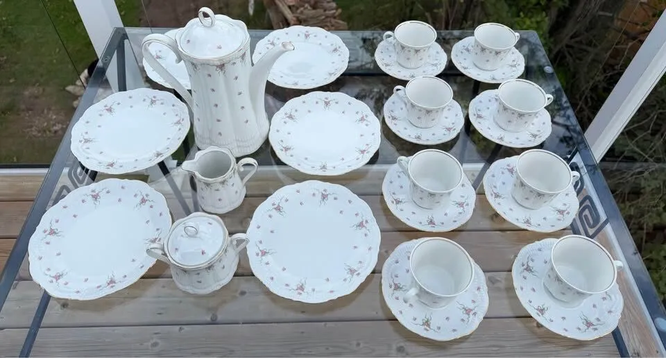 Vintage Schwarzenhammer Bavaria German Porcelain Coffee & Tea Service – 25 Pc - photo 5