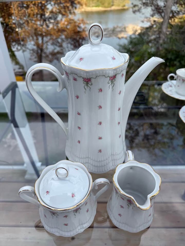 Vintage Schwarzenhammer Bavaria German Porcelain Coffee & Tea Service – 25 Pc - photo 6
