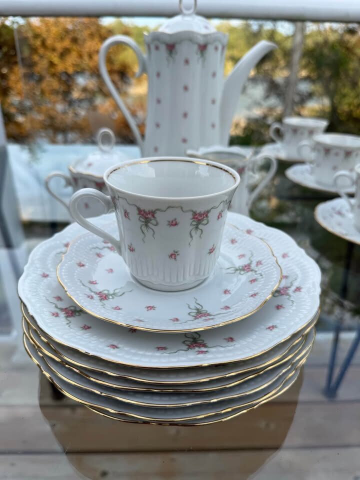 Vintage Schwarzenhammer Bavaria German Porcelain Coffee & Tea Service – 25 Pc - photo 7