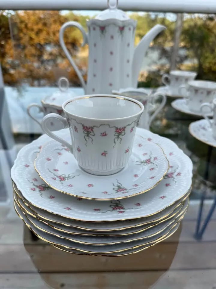 Vintage Schwarzenhammer Bavaria German Porcelain Coffee & Tea Service – 25 Pc - photo 7