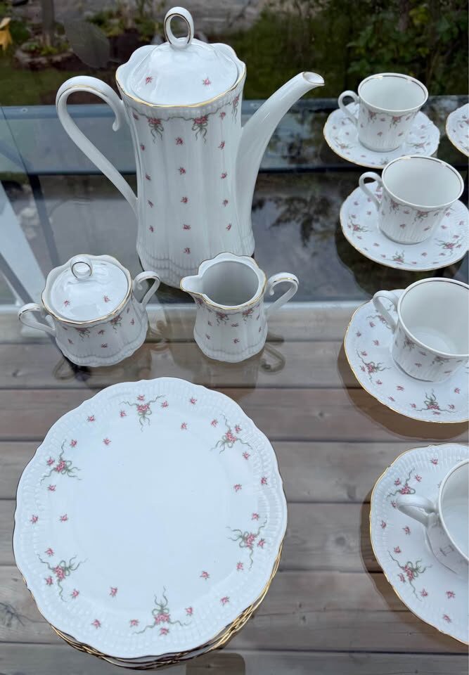 Vintage Schwarzenhammer Bavaria German Porcelain Coffee & Tea Service – 25 Pc - photo 9
