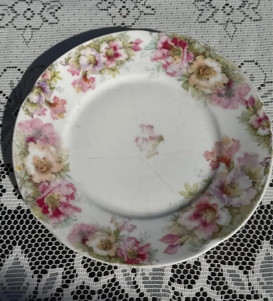 Antique Royal Vienna Style Portrait Plate "Juliet" + Bavarian Plate! - photo 2