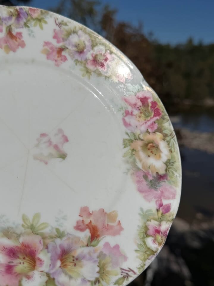 Antique Royal Vienna Style Portrait Plate "Juliet" + Bavarian Plate! - photo 8