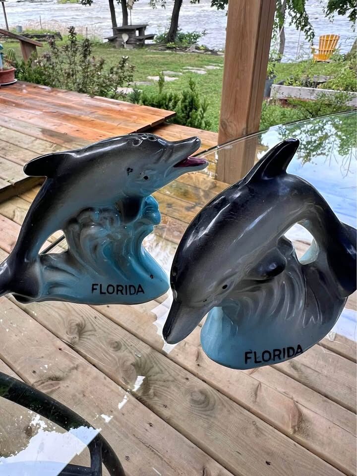Vintage Florida Dolphin Salt & Pepper Shakers - Retro Collectible Pair!