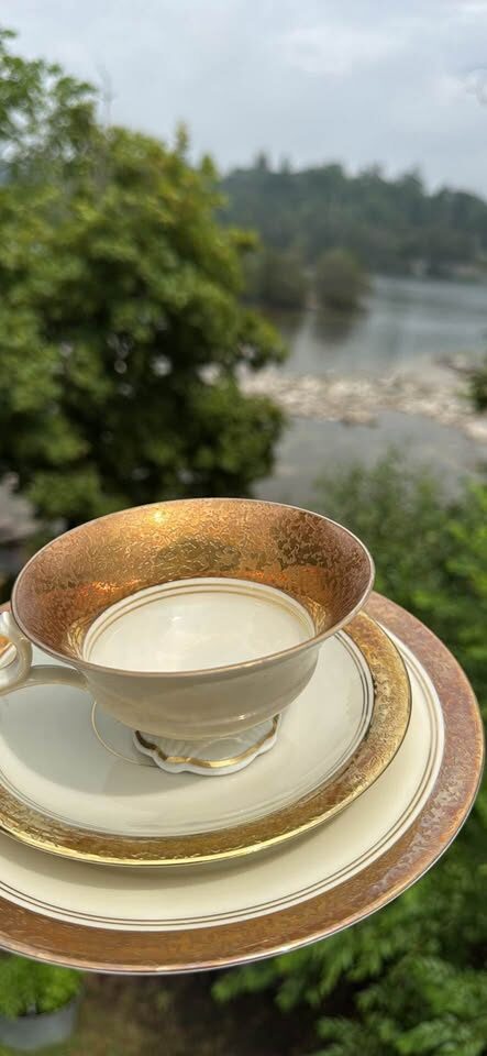Vintage German Porcelain Tea Trios / Sammeltassen -Flawless Condition - photo 9