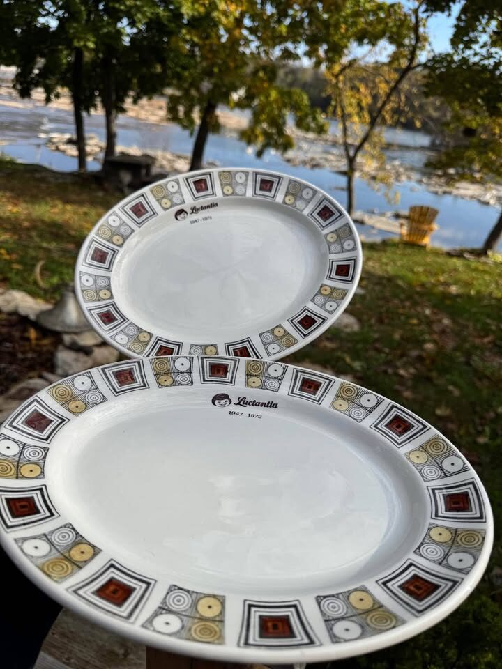 1960s Kathy Winkle Ironstone Dinnerware Partial Set Rushstone - photo 5