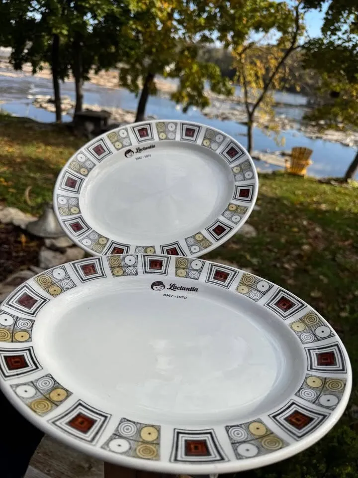 1960s Kathy Winkle Ironstone Dinnerware Partial Set Rushstone - photo 5