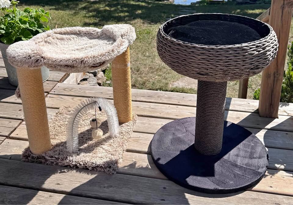 Cat Bed and Scratch Post Toy - photo 1