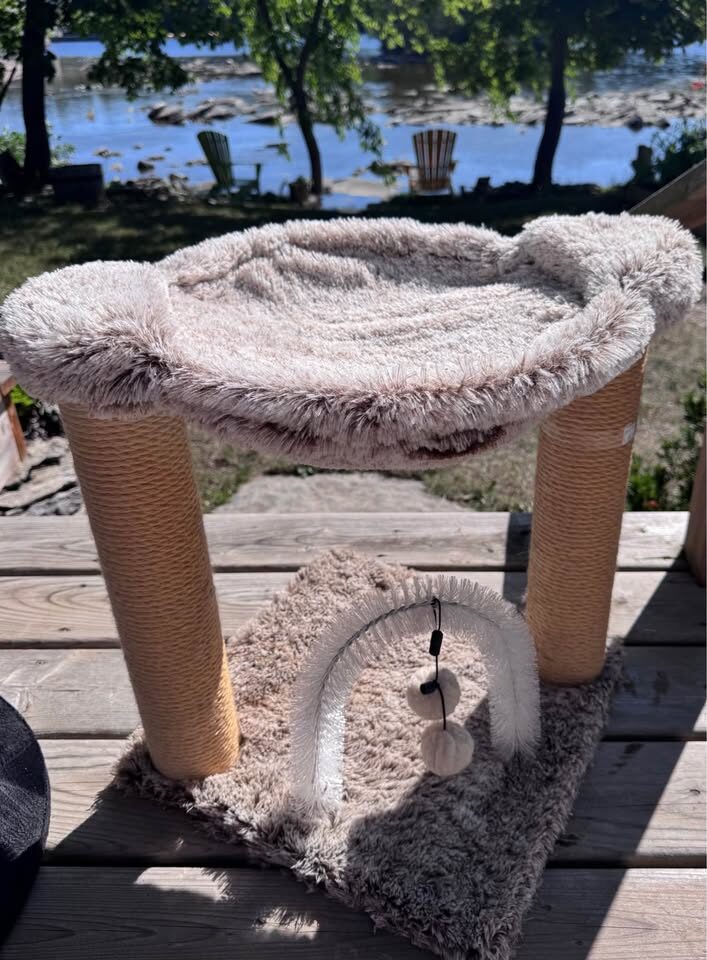 Cat Bed and Scratch Post Toy - photo 3