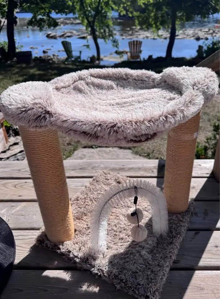 Cat Bed and Scratch Post Toy - photo 3