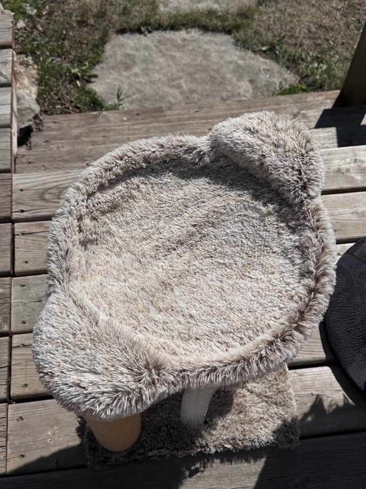 Cat Bed and Scratch Post Toy - photo 8