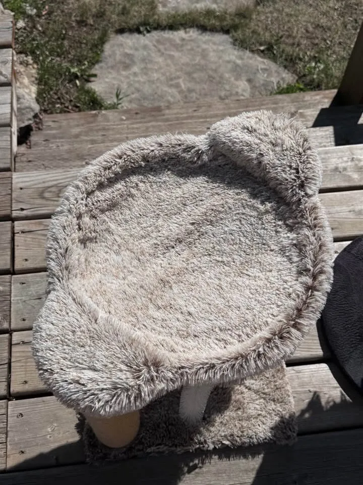 Cat Bed and Scratch Post Toy - photo 8