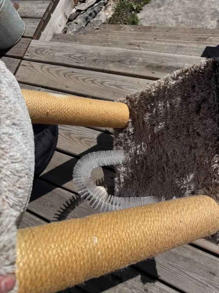 Cat Bed and Scratch Post Toy - photo 9