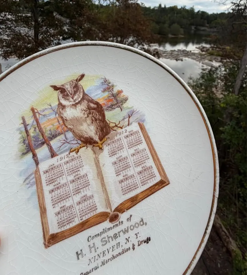 RARE 1912 Owl Calendar Plate - H.H. Sherwood NINEVEH NY Advertising - photo 5