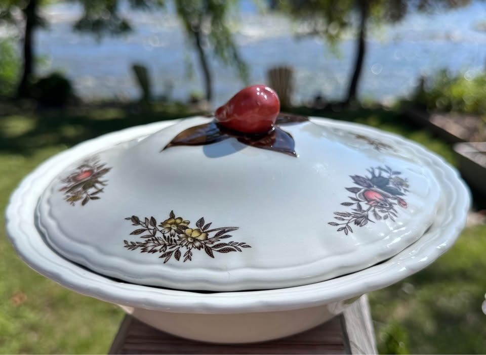 Vintage Wood & Sons "Rosedale" English Ironstone 55 Piece Tableware Set - photo 10