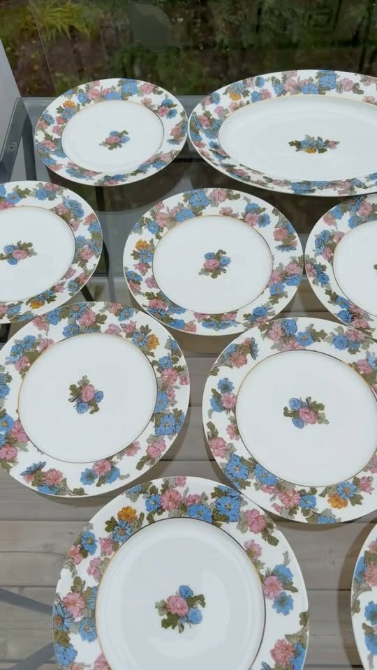 Beautiful Antique Haviland Limoges Floral Platter & 11 Plates - photo 1