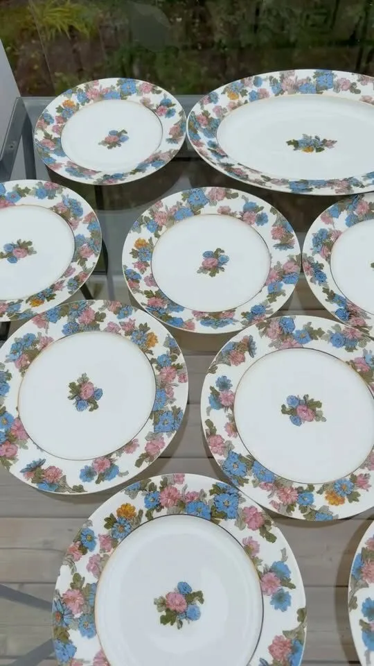 Beautiful Antique Haviland Limoges Floral Platter & 11 Plates - photo 1