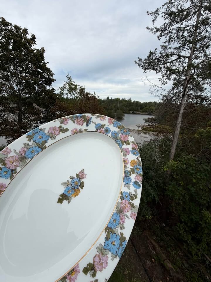 Beautiful Antique Haviland Limoges Floral Platter & 11 Plates - photo 11