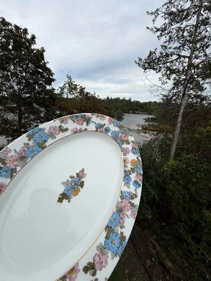 Beautiful Antique Haviland Limoges Floral Platter & 11 Plates - photo 11