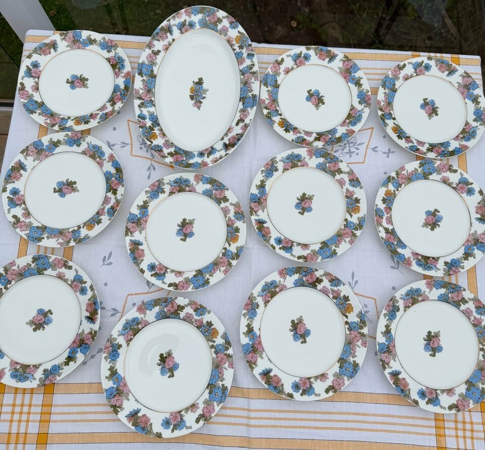 Beautiful Antique Haviland Limoges Floral Platter & 11 Plates - photo 4