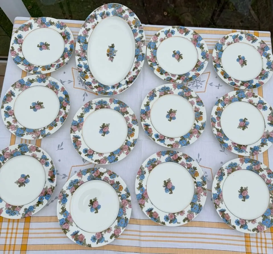 Beautiful Antique Haviland Limoges Floral Platter & 11 Plates - photo 4