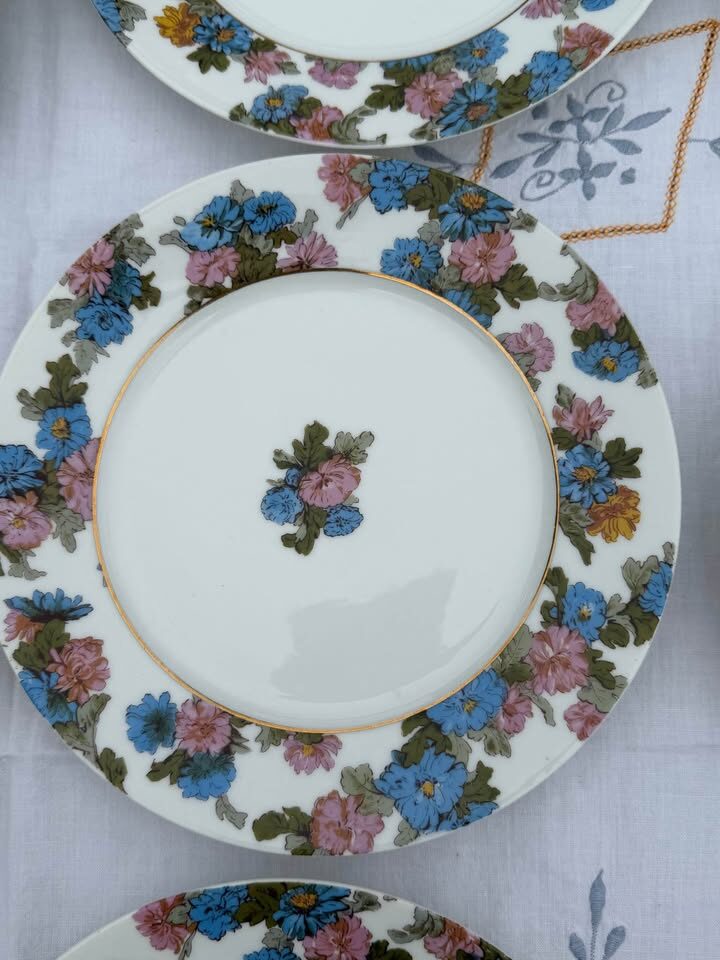 Beautiful Antique Haviland Limoges Floral Platter & 11 Plates - photo 5