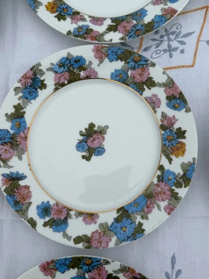 Beautiful Antique Haviland Limoges Floral Platter & 11 Plates - photo 5
