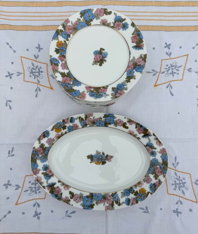 Beautiful Antique Haviland Limoges Floral Platter & 11 Plates - photo 7