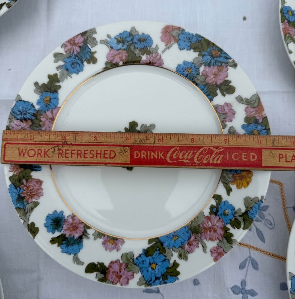 Beautiful Antique Haviland Limoges Floral Platter & 11 Plates - photo 9