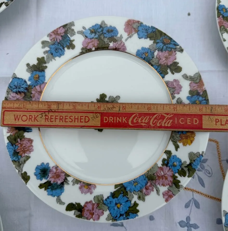 Beautiful Antique Haviland Limoges Floral Platter & 11 Plates - photo 9