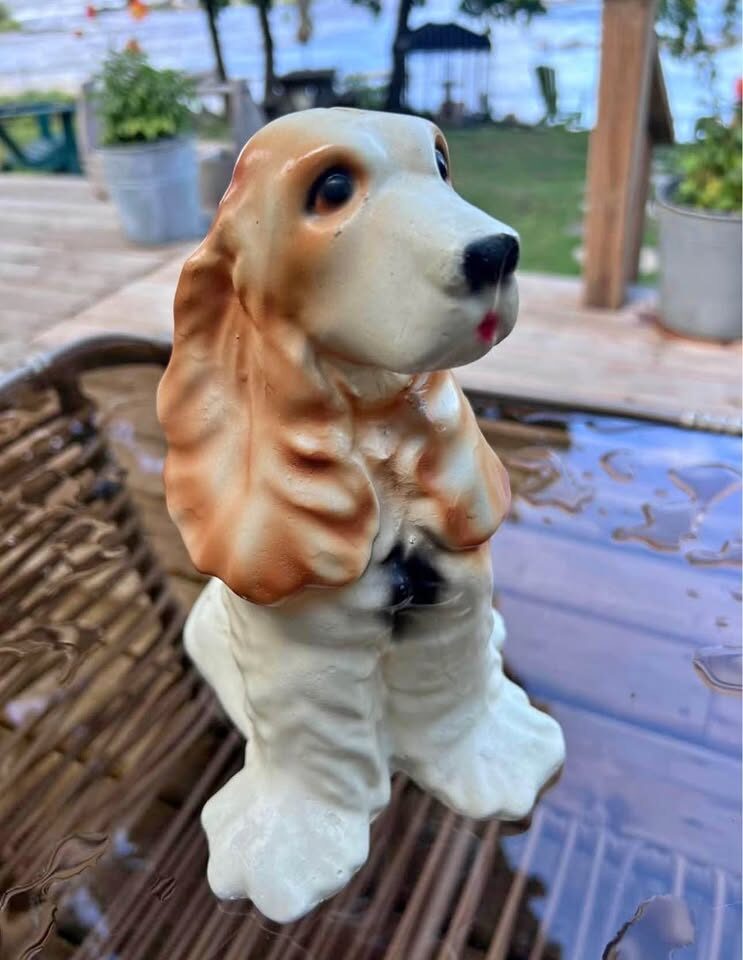 Vintage Chalkware Cocker Spaniel Coin Bank 1940s Carnival Prize