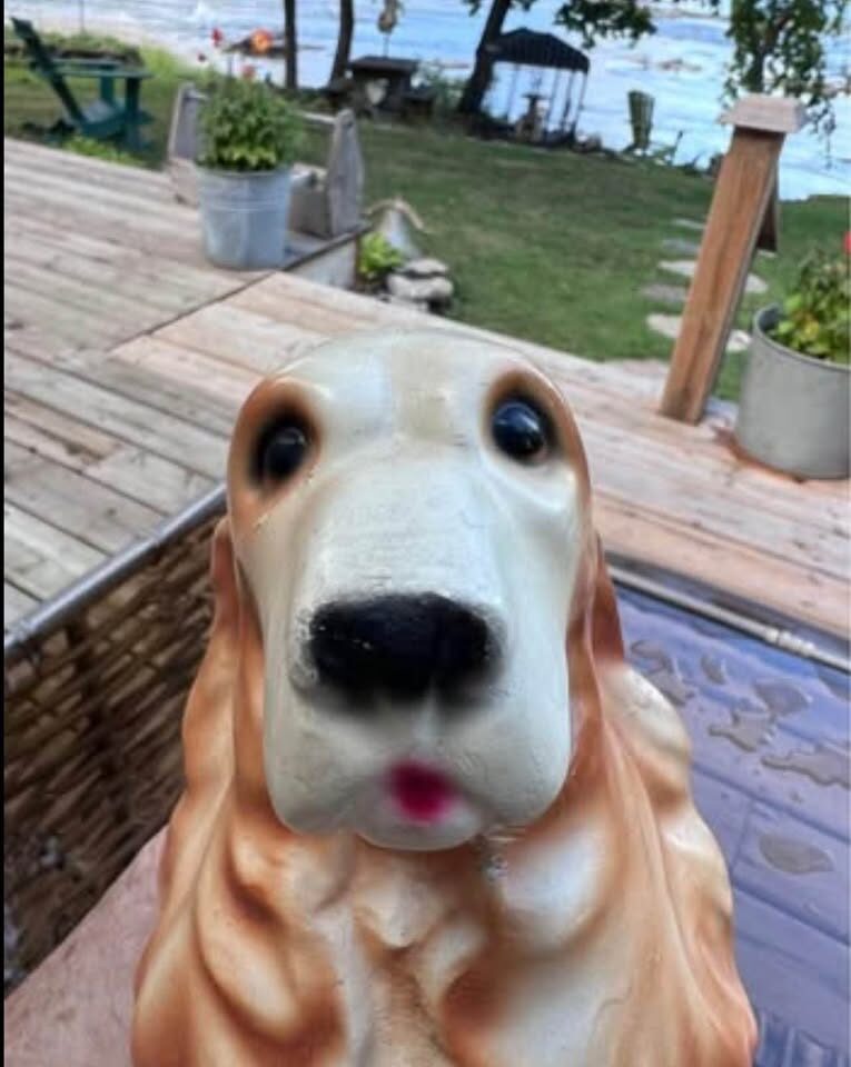 Vintage Chalkware Cocker Spaniel Coin Bank 1940s Carnival Prize - photo 4