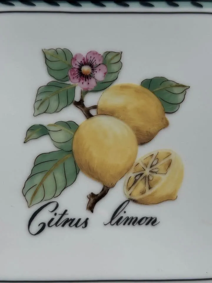 Villeroy & Boch French Garden Square Plate / Platter - photo 3