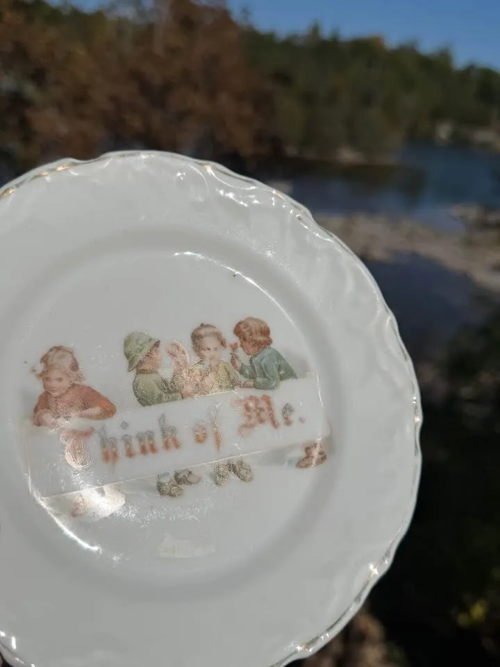 Rare 1940s Shenango Nursery Rhyme Plate & Antique German "Think of Me" Dish - photo 9