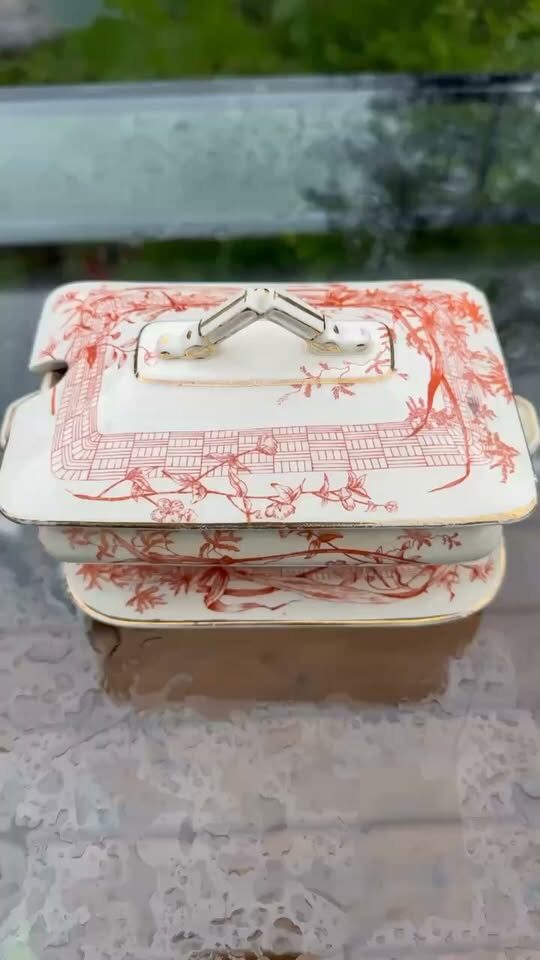 COMPLETE 1886 Antique Ridgways "Dee-Side" Sauce Tureen & Underplate - Rust Dragonfly Transferware
