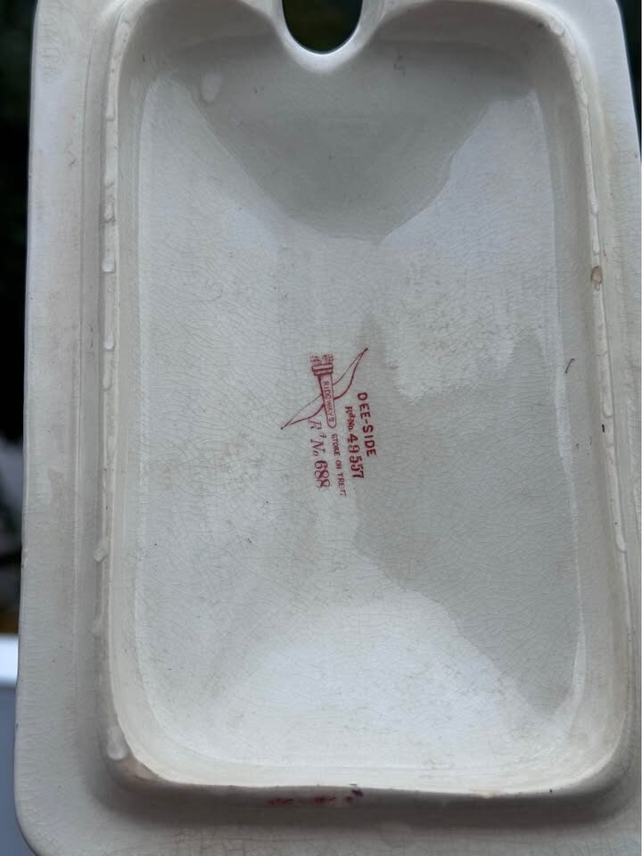 COMPLETE 1886 Antique Ridgways "Dee-Side" Sauce Tureen & Underplate - Rust Dragonfly Transferware - photo 8