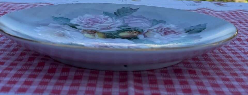 Vintage Takiro Hand-Painted Rose Porcelain Plate 10” - MINT - photo 5