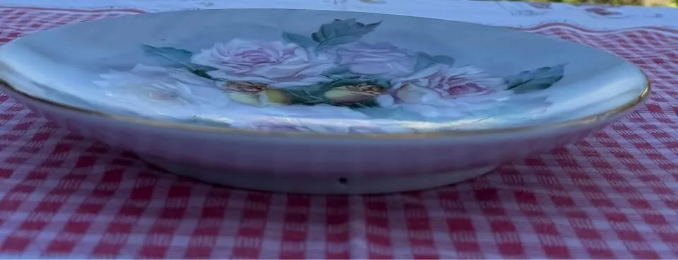 Vintage Takiro Hand-Painted Rose Porcelain Plate 10” - MINT - photo 5
