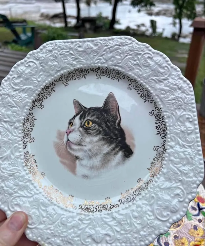 Vintage 1972 Lord Nelson Pottery Cat Collector Plate - Made in England - photo 1