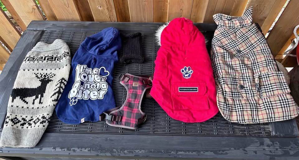 Small dog coats