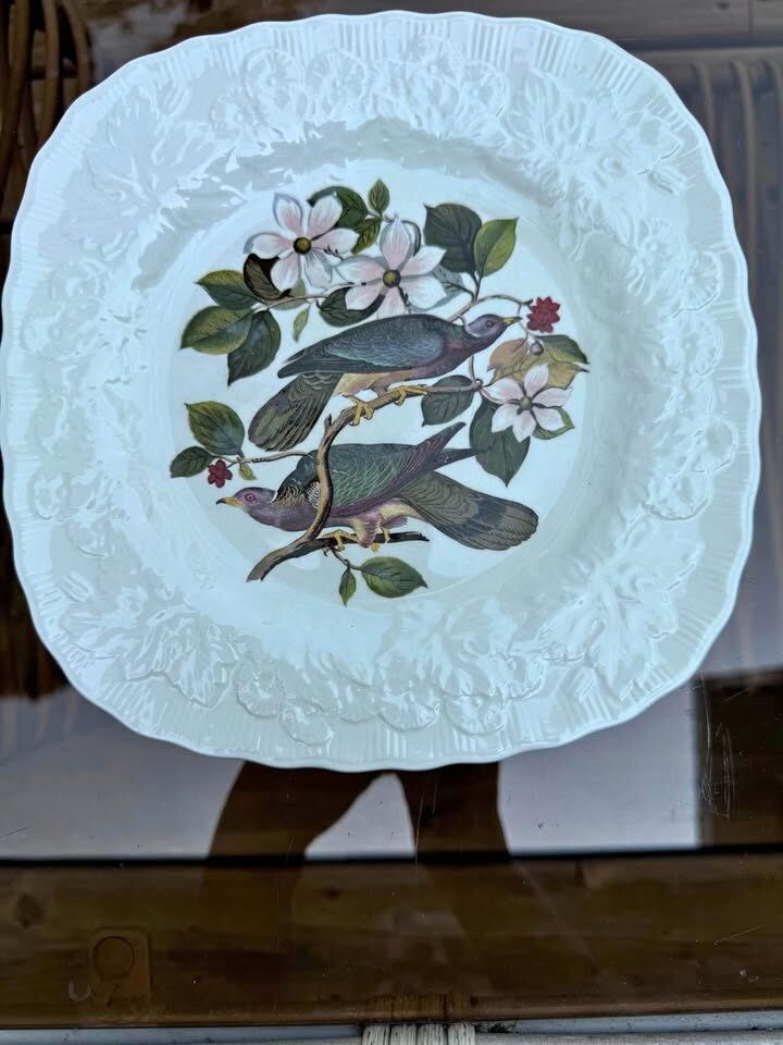 Vintage Alfred Meakin “Birds of America” Plate #367 Band tailed Pigeon