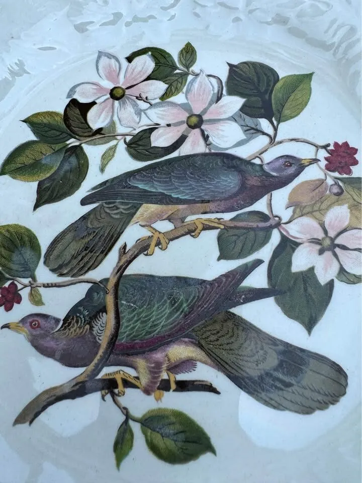 Vintage Alfred Meakin “Birds of America” Plate #367 Band tailed Pigeon - photo 2