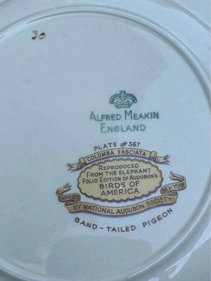 Vintage Alfred Meakin “Birds of America” Plate #367 Band tailed Pigeon - photo 4