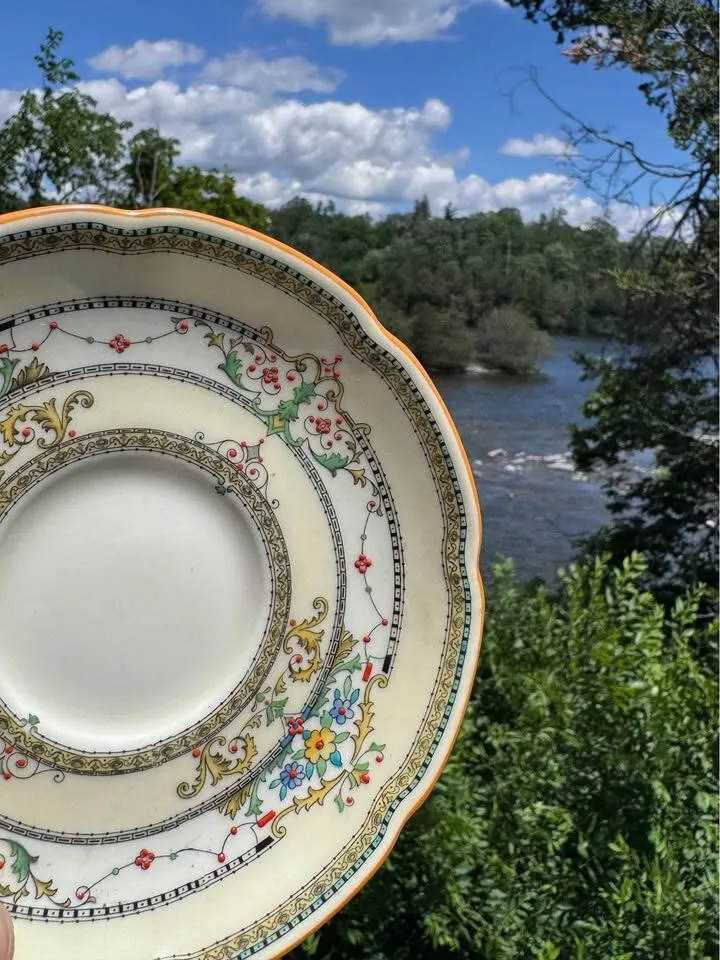 Mint Condition Rare Vintage Royal Doulton "The Lorraine" Double-Handled Soup Bowl & Saucer Set - photo 9